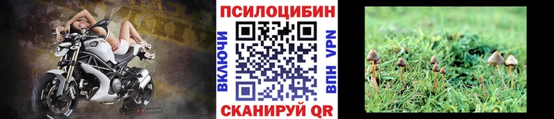 Псилоцибиновые грибы Cubensis  Среднеуральск 