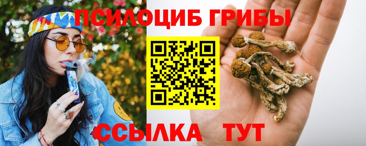 Псилоцибиновые грибы мицелий  Псилоцибиновые грибы мицелий  как найти закладки  Вход с VPN  Среднеуральск 